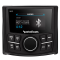 Rockford Fosgate PMX-1R Punch Marine Full Function Wired Remote 2.7" Display